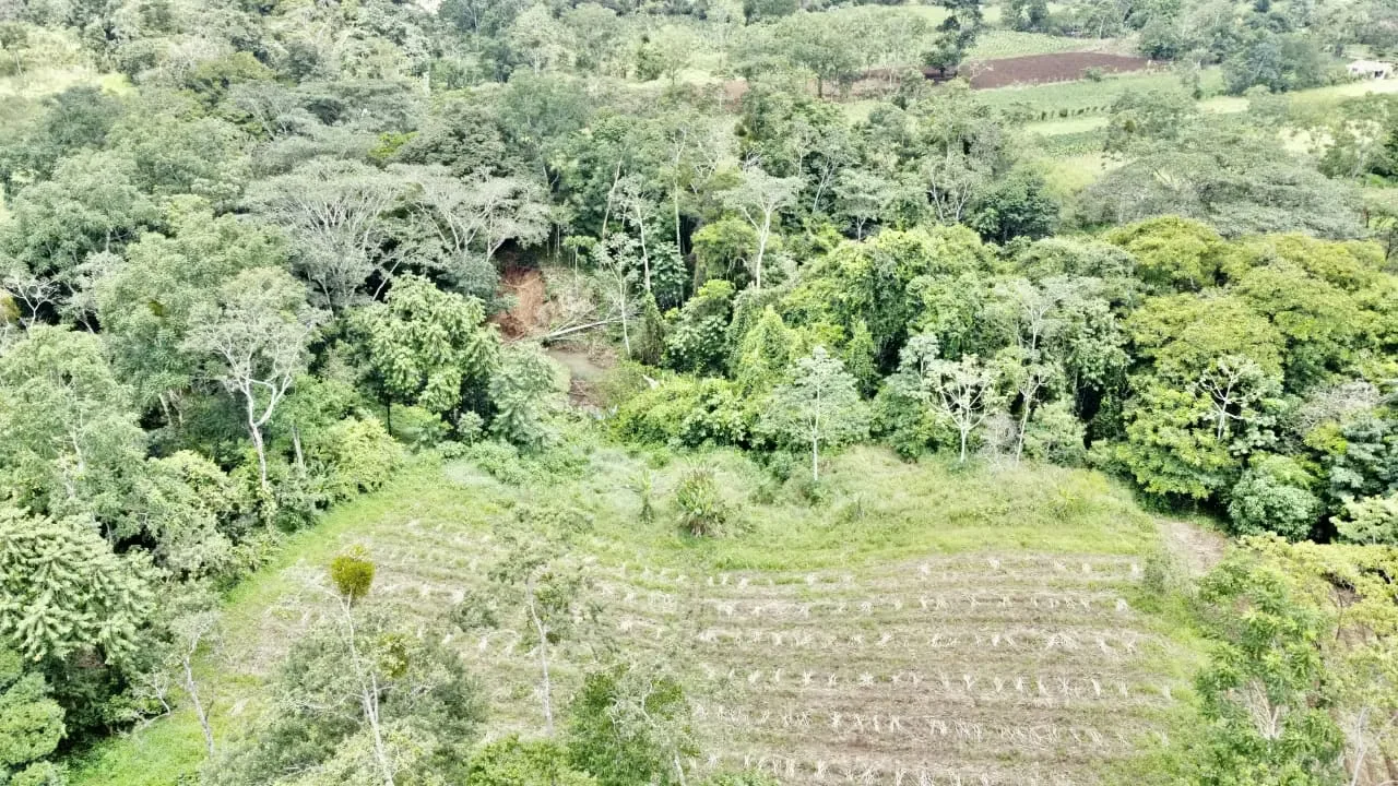 For sale farm located in the community of Los Angeles, 15 minutes to La Fortuna, peek view of Arenal Volcano, photo 5