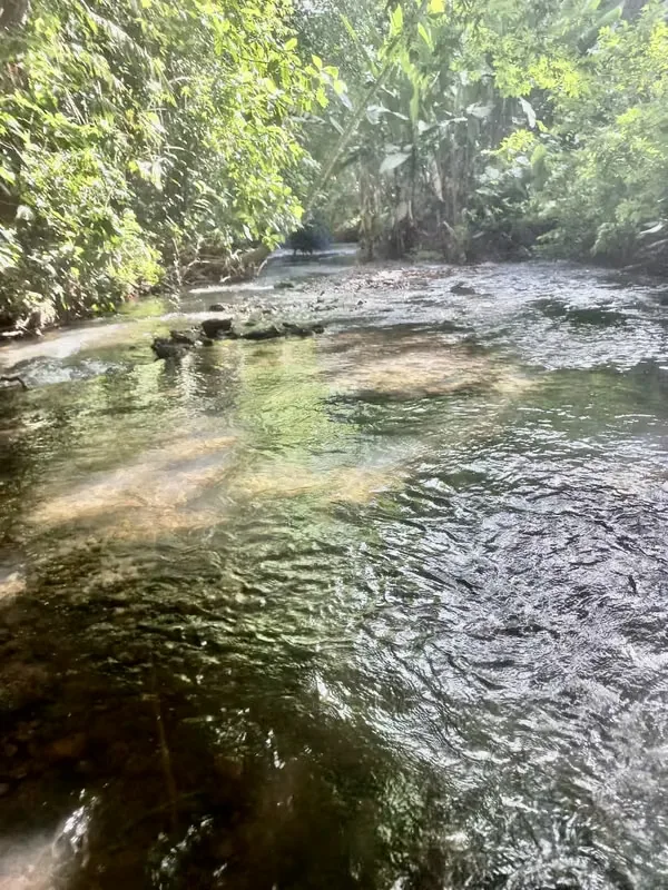 For sale farm located in the community of Los Angeles, 15 minutes to La Fortuna, peek view of Arenal Volcano, photo 7