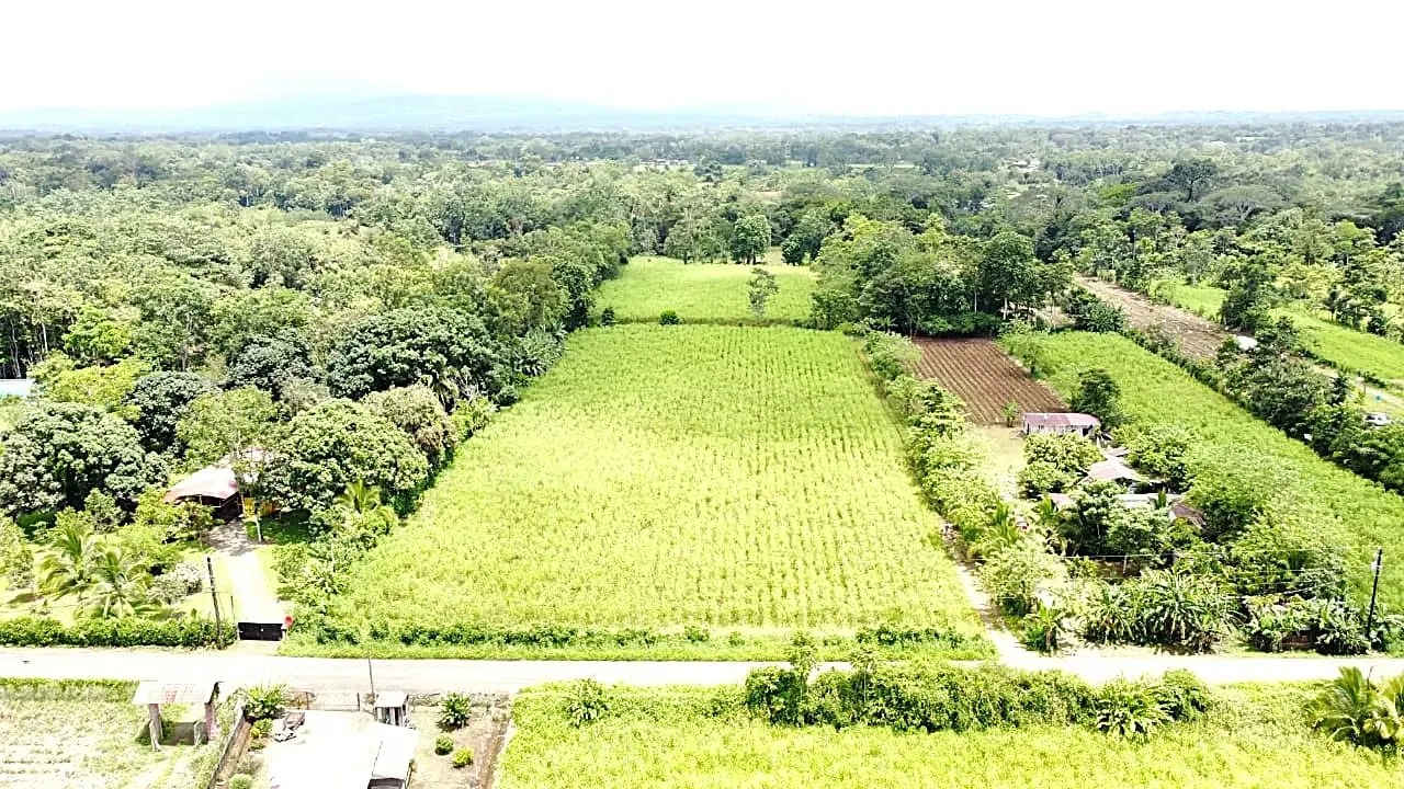 For sale farm located in the community of Los Angeles, 15 minutes to La Fortuna, peek view of Arenal Volcano, photo 10