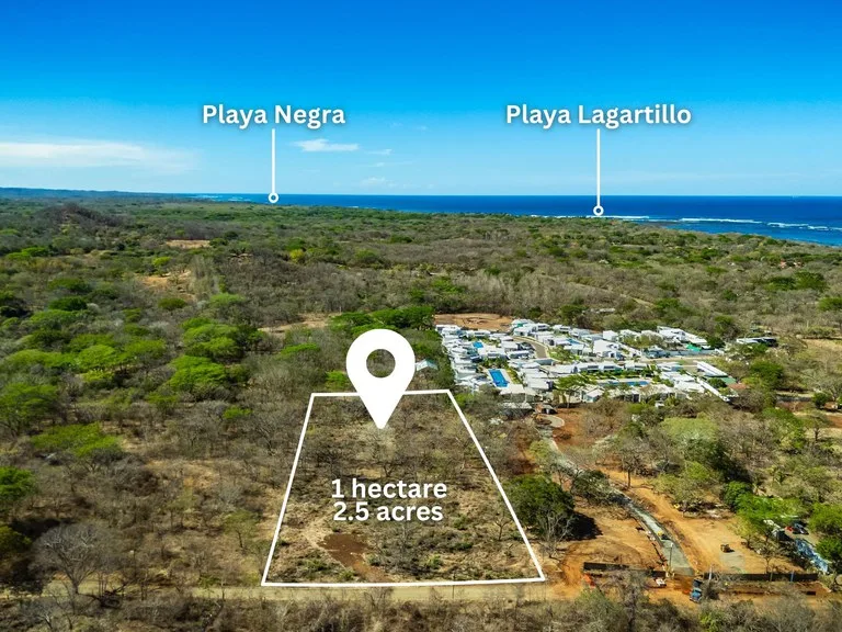 Development Parcel in Playa Avellanas