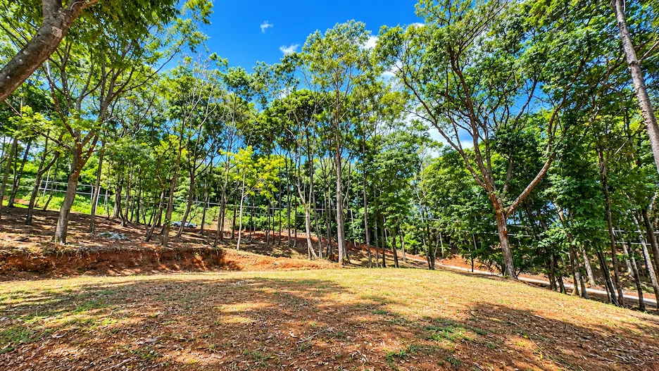 BUILDING LOT WITH VIEWS OF TWO WATERFALLS NEAR PLAYA DOMINICAL – 2.47 ACRES