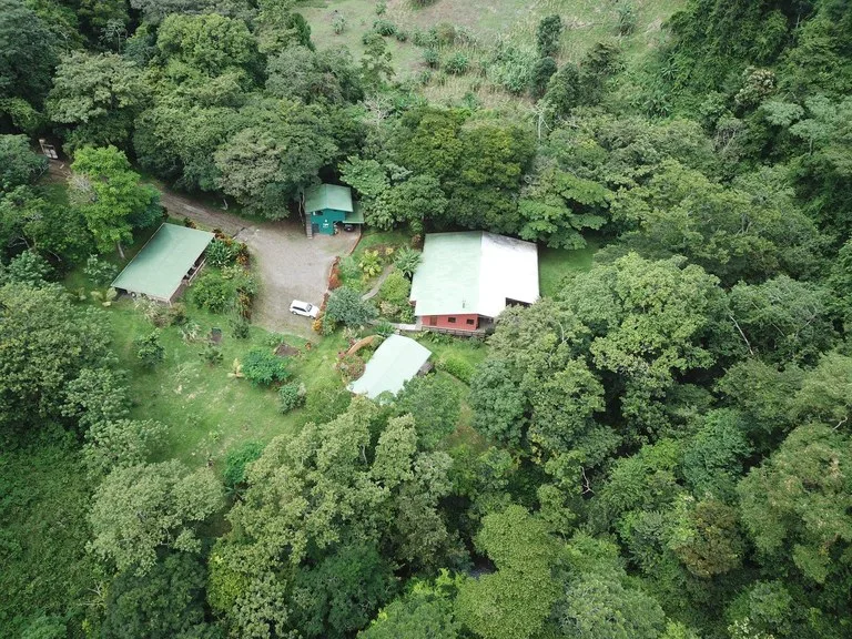 RIO SABALO: Yoga- Wellness-  and Eco Retreat Center, photo 13