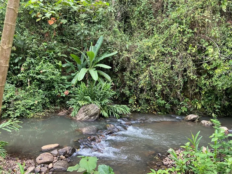 RIO SABALO: Yoga- Wellness-  and Eco Retreat Center, photo 14