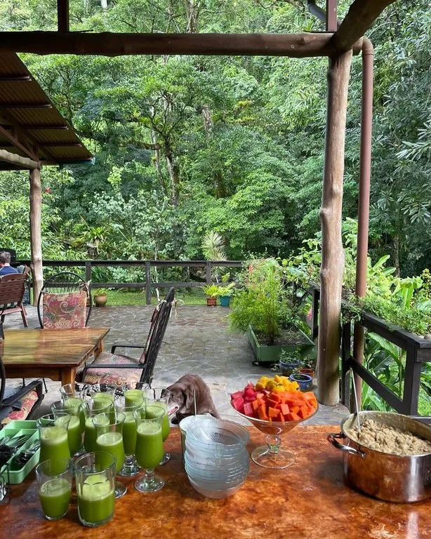 RIO SABALO: Yoga- Wellness-  and Eco Retreat Center, photo 10