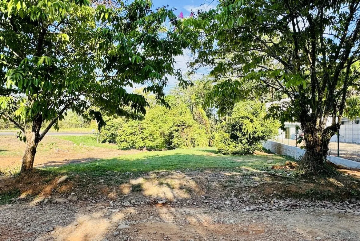 BUILDING PROPERTY NEAR TO THE TOWN, IN JARDINES DEL MORETE UVITA – 0.30 ACRES, photo 2