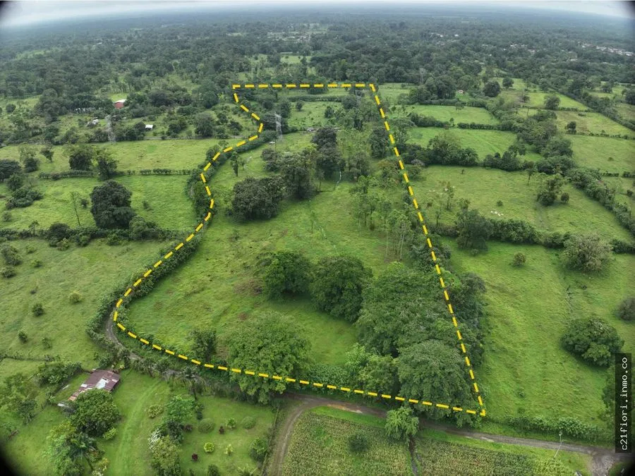 Venta de finca en Guápiles