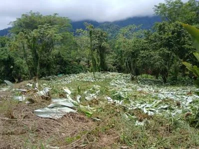 Terreno de 1,14 acres con vista al mar | Fase 5, Ojochal, photo 6