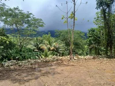 Terreno de 1,14 acres con vista al mar | Fase 5, Ojochal, photo 9