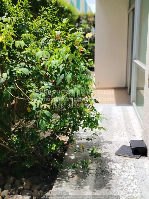 PRECIO REBAJADO! ¡Aproveche esta excelente oportunidad! Este apartamento ofrece más espacio y versatilidad que la mayoría de las unidades de una habitación en Bambú Ecourbano., photo 2