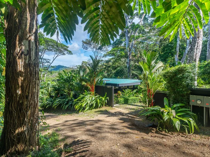 3 Bed Single Family Homes For Sale in Dominical, photo 5