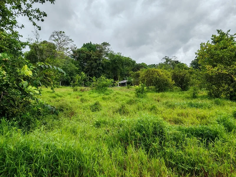 Land For Sale in Puerto Viejo
