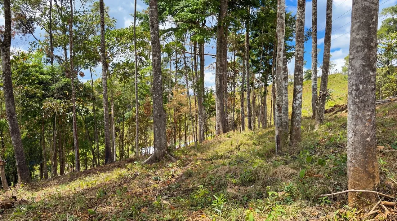 For Sale: Beautiful Mountain 730,06m2 Residential Lot in Quebradas - CR, photo 11