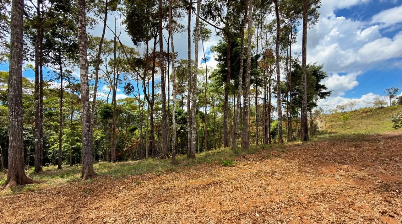 For Sale: Beautiful Mountain 730,06m2 Residential Lot in Quebradas - CR, photo 12