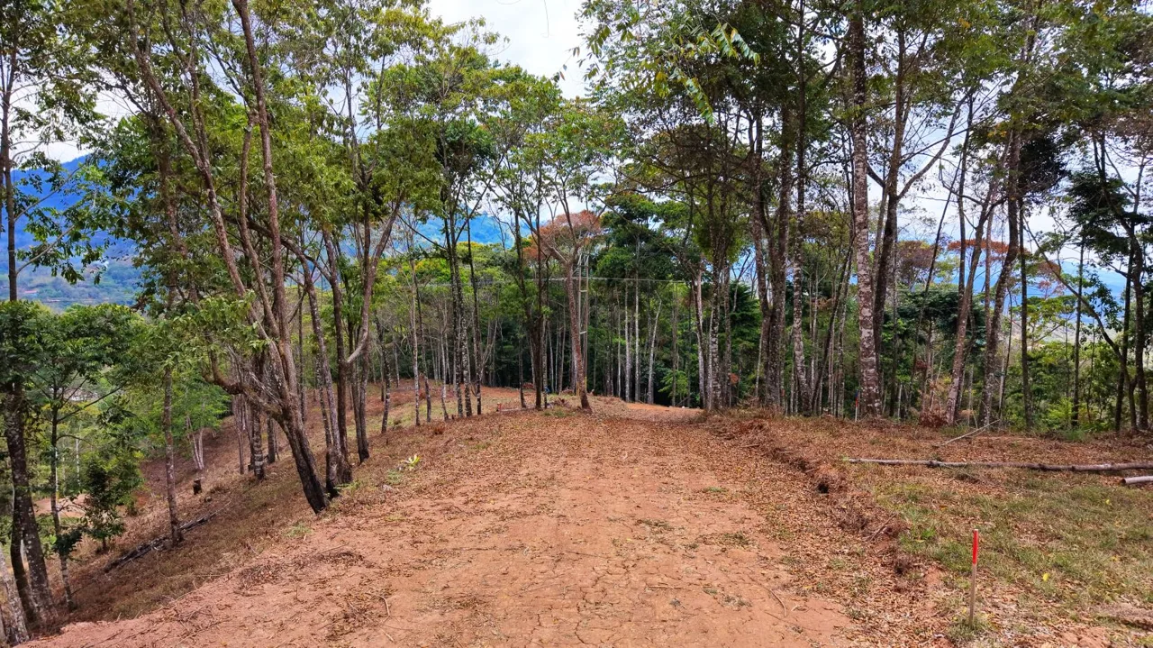 For Sale: Beautiful Mountain 730,06m2 Residential Lot in Quebradas - CR, photo 13