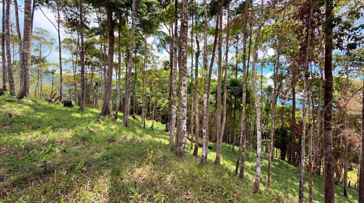 For Sale: Beautiful Mountain 730,06m2 Residential Lot in Quebradas - CR, photo 6