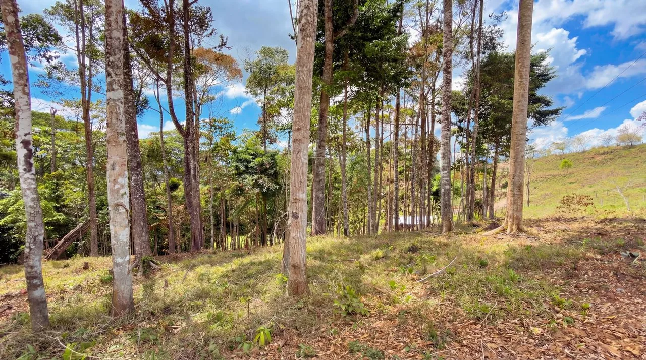 For Sale: Beautiful Mountain 730,06m2 Residential Lot in Quebradas - CR, photo 7
