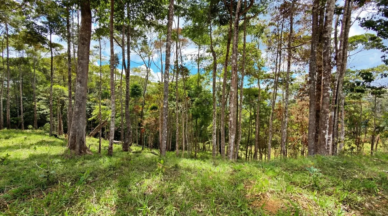For Sale: Beautiful Mountain 730,06m2 Residential Lot in Quebradas - CR, photo 8