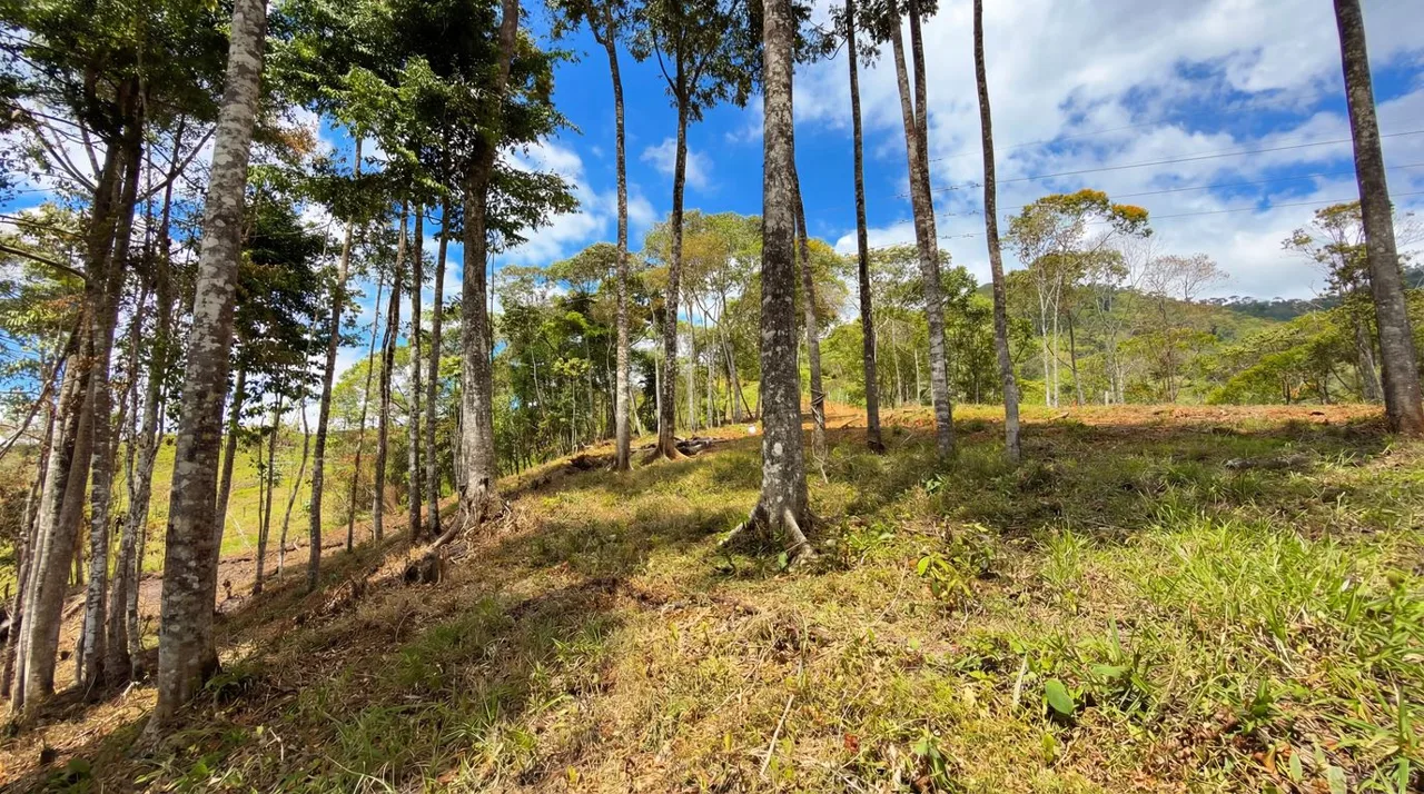 For Sale: Beautiful Mountain 730,06m2 Residential Lot in Quebradas - CR, photo 9