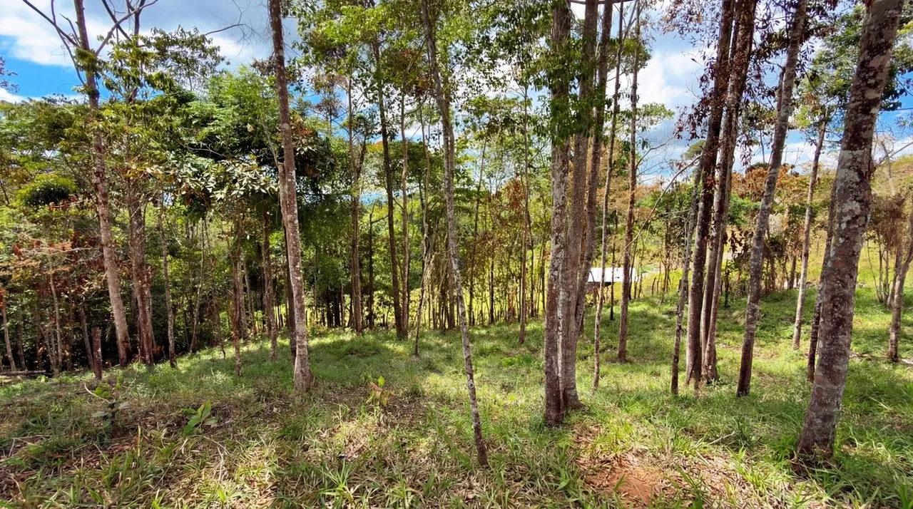 For Sale: Beautiful Mountain 730,06m2 Residential Lot in Quebradas - CR, photo 10