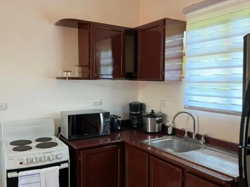 1 Bed Condo For Sale in Playas Del Coco, photo 9