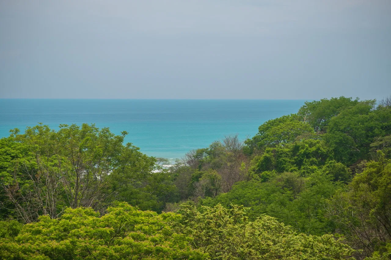 Prime Jungle Retreat with Sunset Views – Build Your Dream