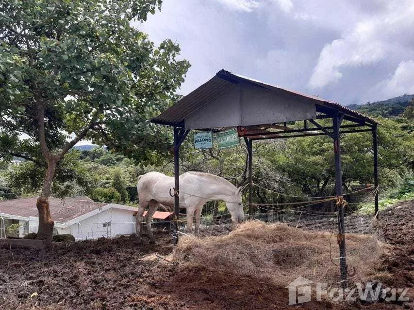 Land for Sale in Escazu, San Jose for $197,580, photo 2