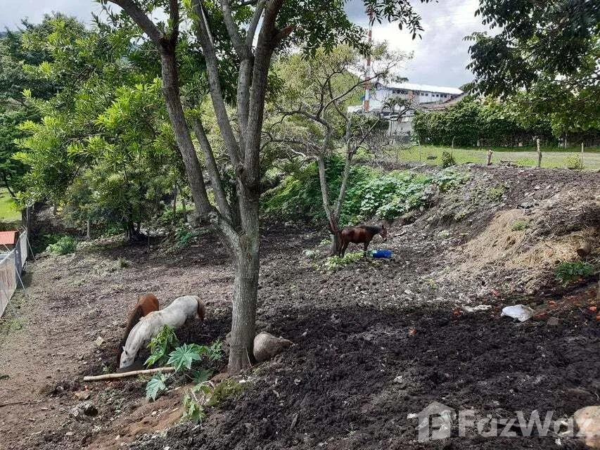 Land for Sale in Escazu, San Jose for $197,580, photo 3