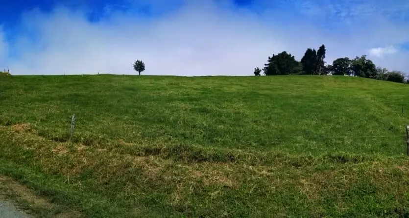 Lot for Sale with Stunning Central Valley Views, photo 4