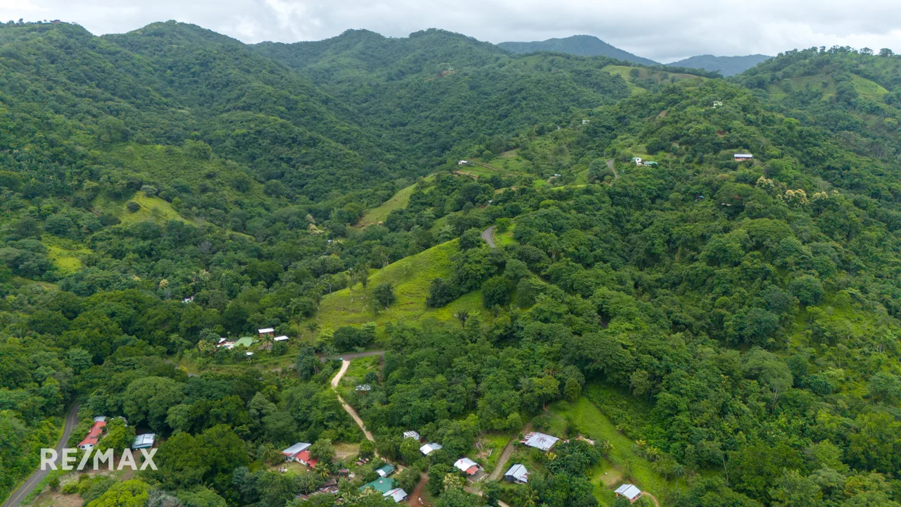 FINCA ESTRADA 3, photo 3