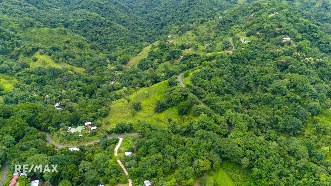 FINCA ESTRADA 3, photo 4