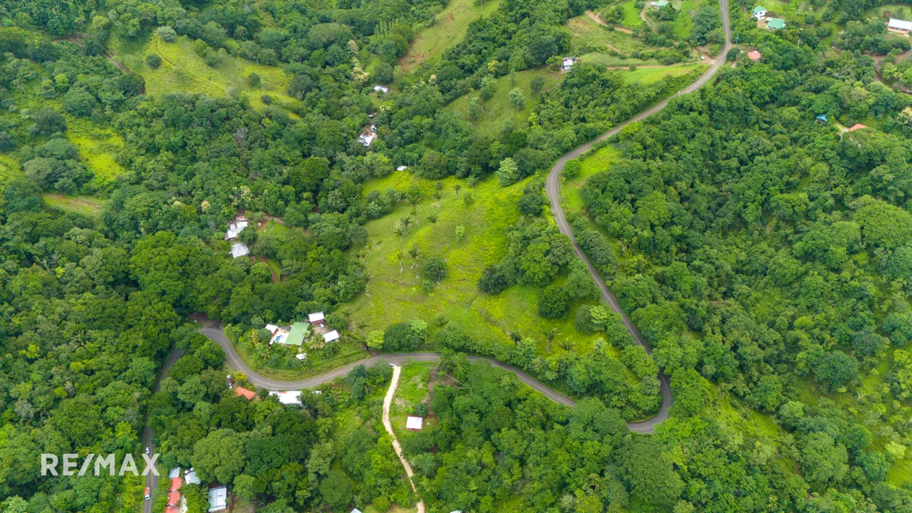 FINCA ESTRADA 3, photo 5