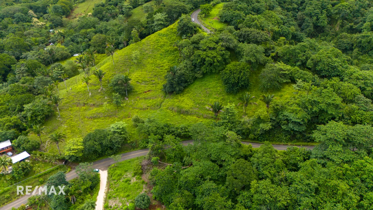 FINCA ESTRADA 3, photo 6