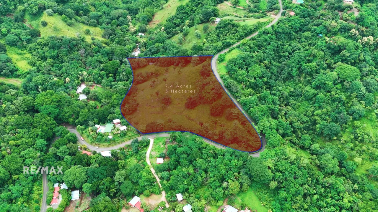 FINCA ESTRADA 3, photo 7