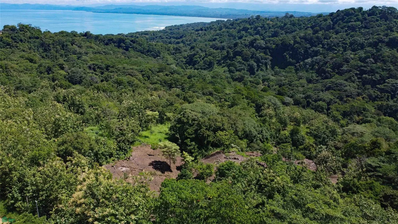 Terreno de 26 Acres con VISTAS AL MAR, Dos Quebradas y Frente de Río en Pavones