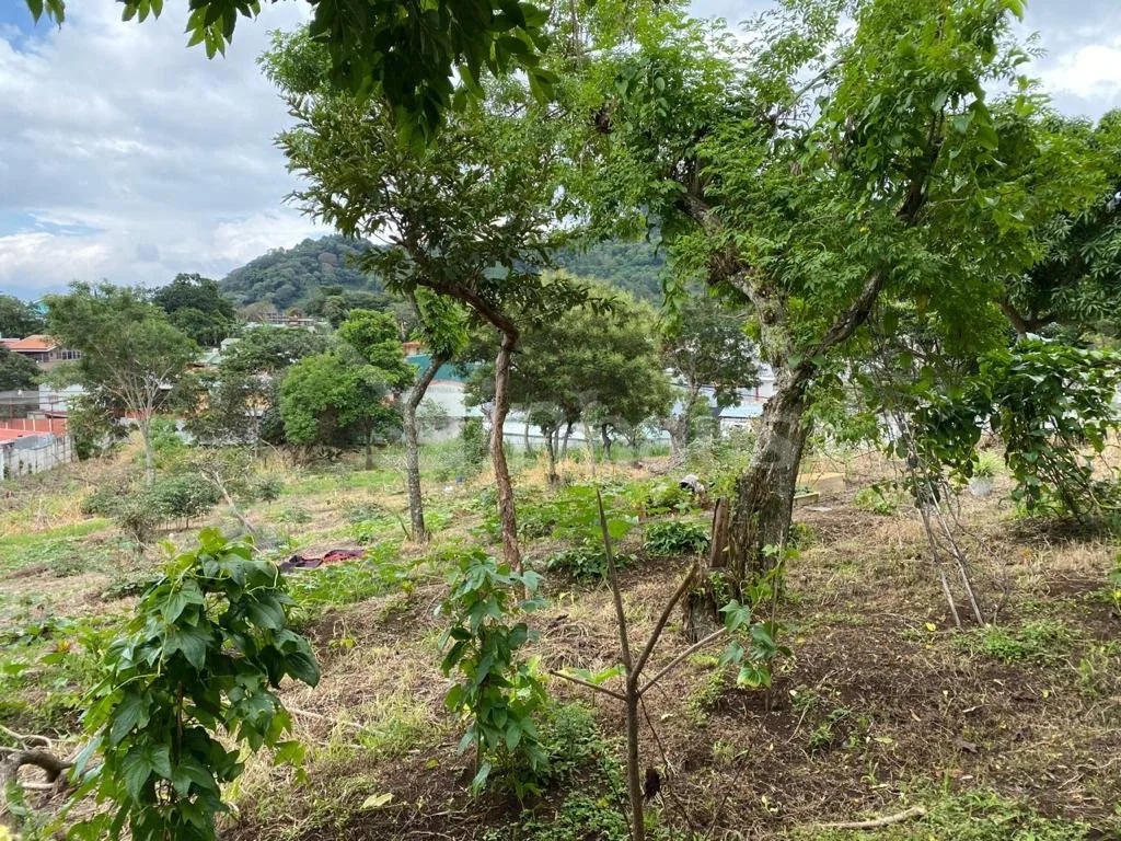Lote en venta en Dos Cercas Desamparados, photo 4