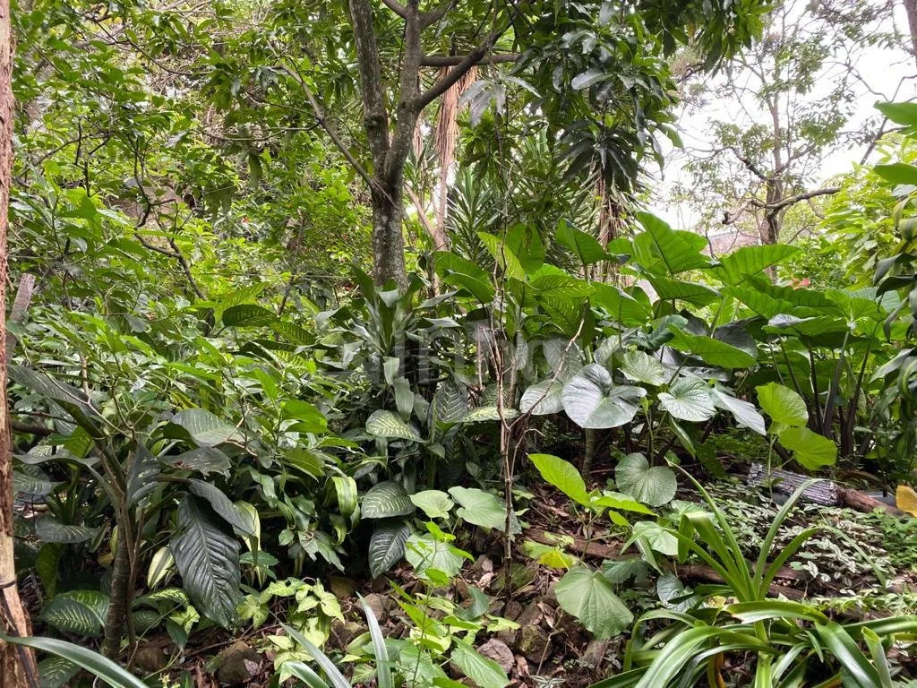 Lote en venta en Dos Cercas Desamparados, photo 8