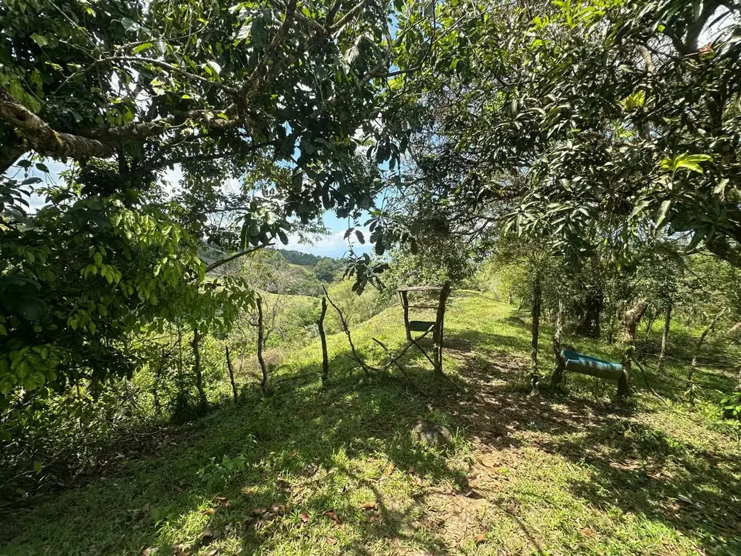 La propiedad cuenta con una casa de habitación sencilla, habitable pero con detalles estéticos por terminar ., photo 10