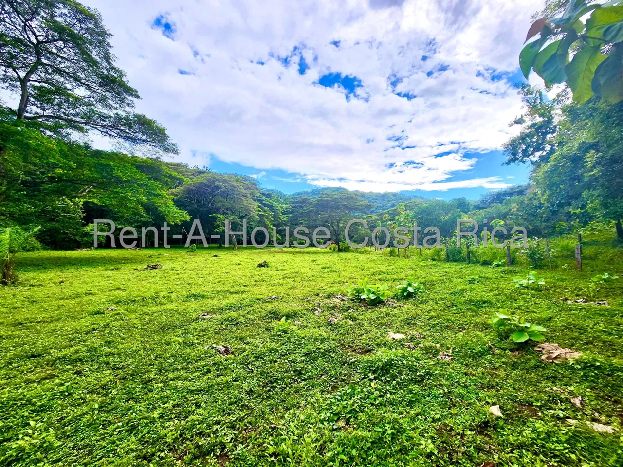 Lote en Venta en Manzanillo ,Puntarenas, photo 2
