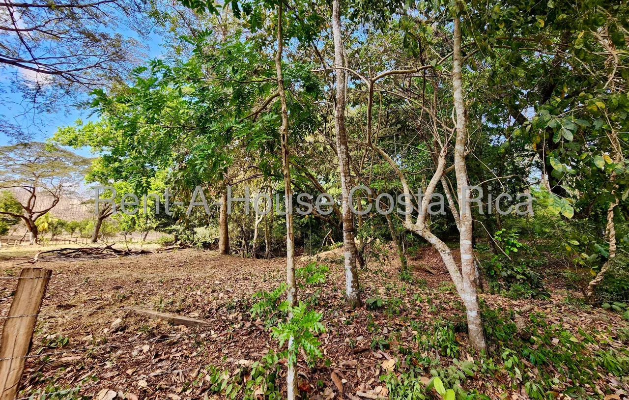 Lote en Venta en Manzanillo ,Puntarenas, photo 6
