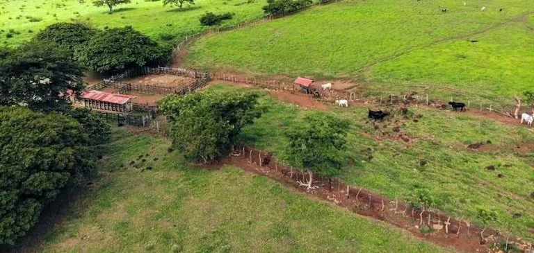 Agricultural Land in Los Angeles, photo 6