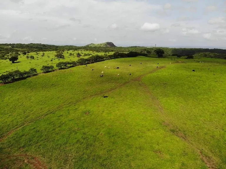 Agricultural Land in Los Angeles, photo 10