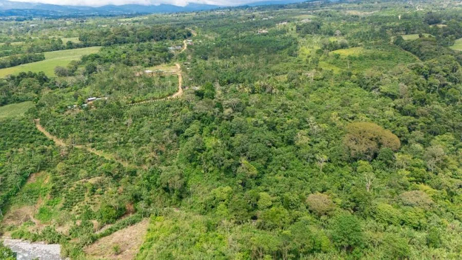 HERMOSA FINCA DE 16 ACRES CON QUEBRADAS Y ACCESO A RÍO EN SAN PEDRO - Venta en Perez Zeledón, photo 11