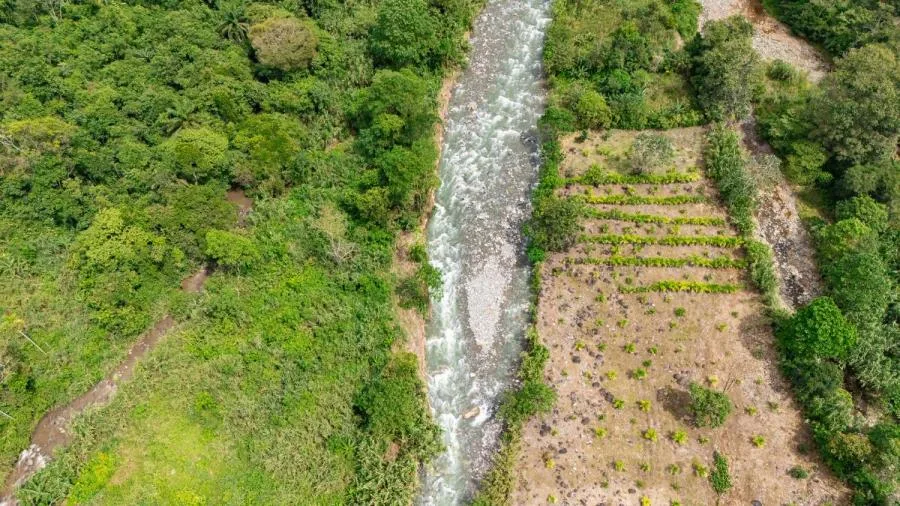 HERMOSA FINCA DE 16 ACRES CON QUEBRADAS Y ACCESO A RÍO EN SAN PEDRO - Venta en Perez Zeledón, photo 14