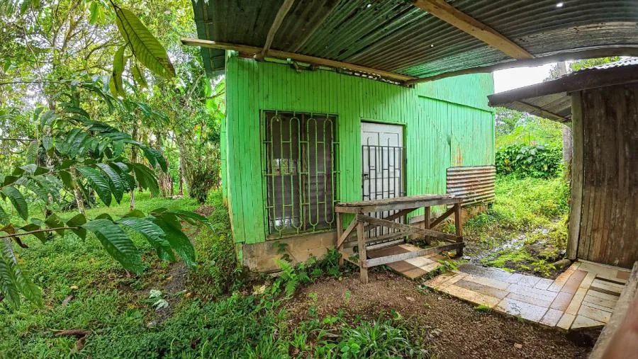 HERMOSA FINCA DE 16 ACRES CON QUEBRADAS Y ACCESO A RÍO EN SAN PEDRO - Venta en Perez Zeledón, photo 15
