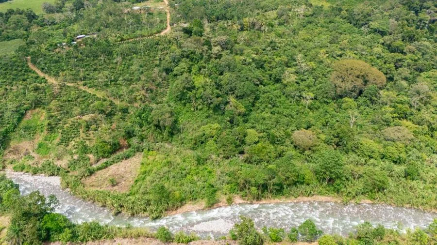 HERMOSA FINCA DE 16 ACRES CON QUEBRADAS Y ACCESO A RÍO EN SAN PEDRO - Venta en Perez Zeledón, photo 8