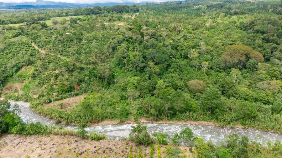 HERMOSA FINCA DE 16 ACRES CON QUEBRADAS Y ACCESO A RÍO EN SAN PEDRO - Venta en Perez Zeledón, photo 10