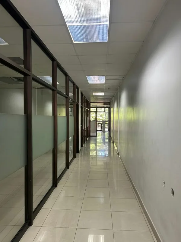 1,500-SQUARE-METER BUILDING FOR RENT IN SAN JOSE, LA SABANA, photo 8