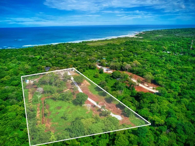 Land For Sale in Avellanas, photo 2