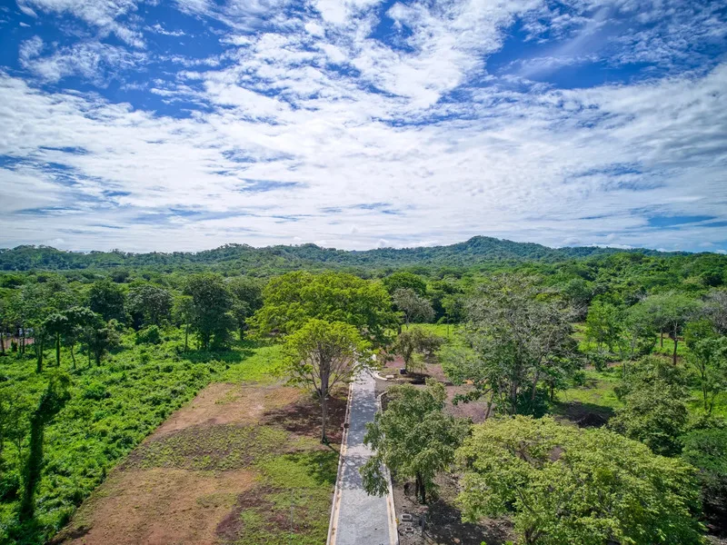 Land For Sale in Avellanas, photo 11