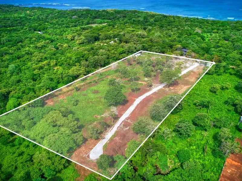 Land For Sale in Avellanas, photo 12